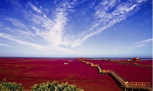 营口红海滩风景区_营口红海滩风景区最好旅游时间